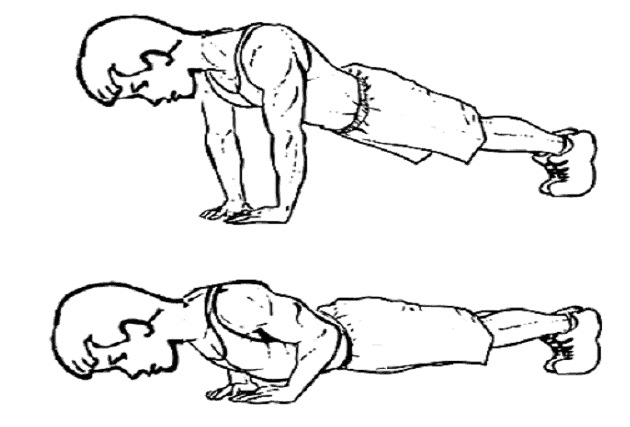 Diamond Pushup exercise