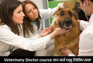 Veterinary Doctor course karna hai