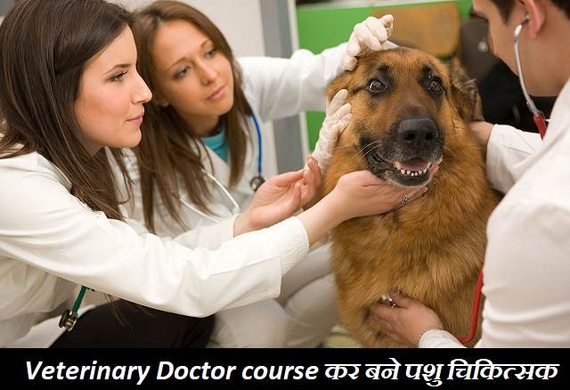 Veterinary Doctor course कर बने पशु चिकित्सक - Hindi blogs 