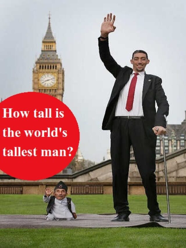 How tall is the world's tallest man? - Hindi blogs - kyahai.net